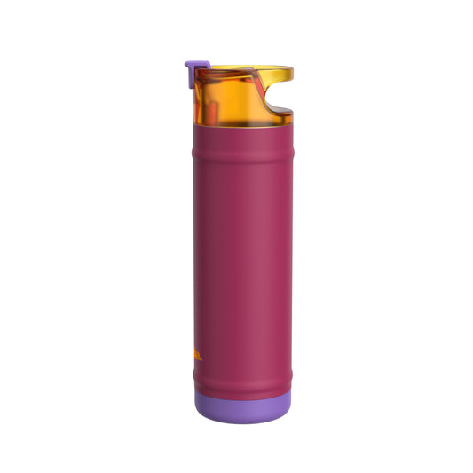bubba 24 oz DualSip Insulated Stainless Steel Water Bottle - Locker Love - US 7842